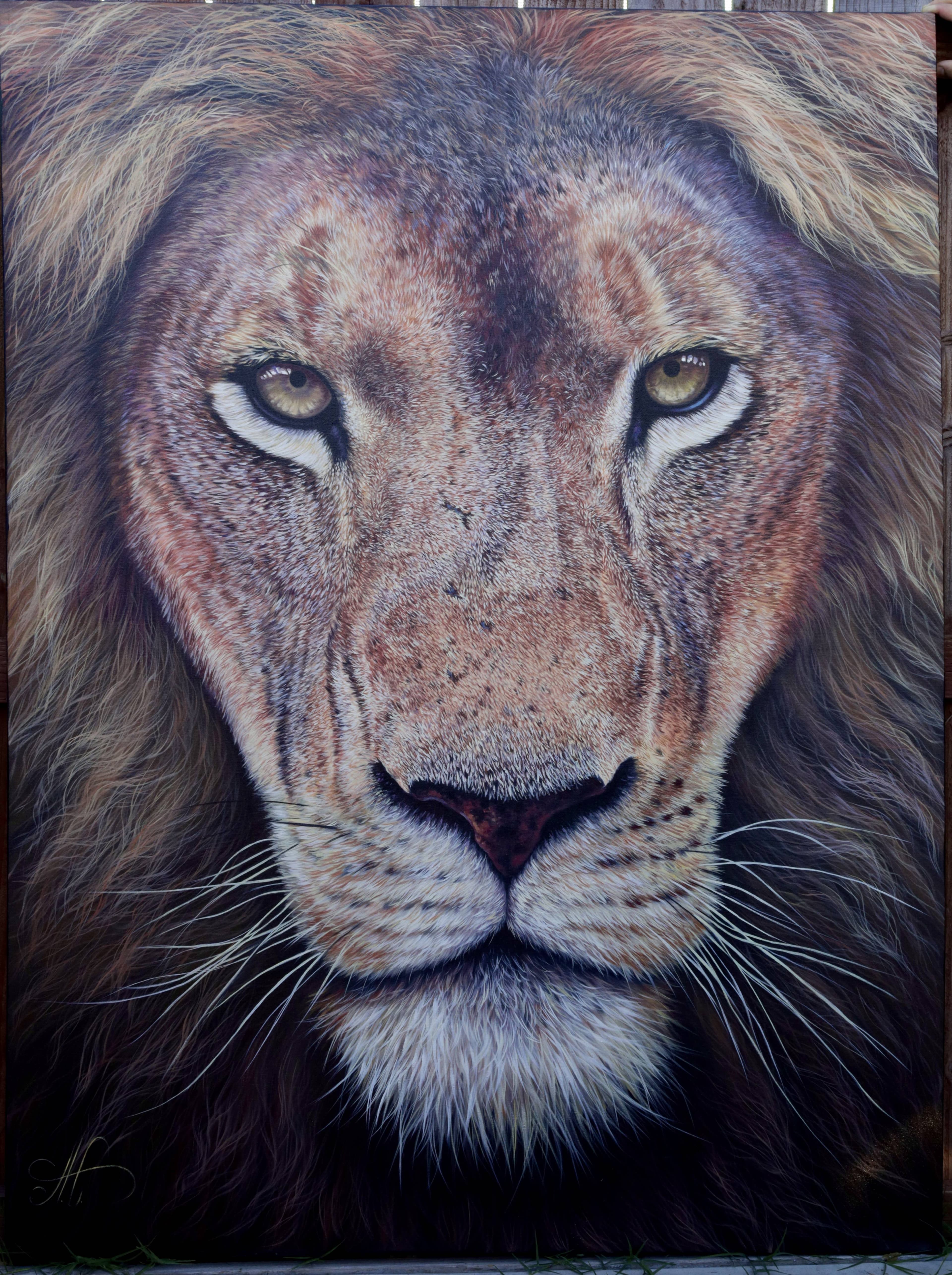 Lion Portrait