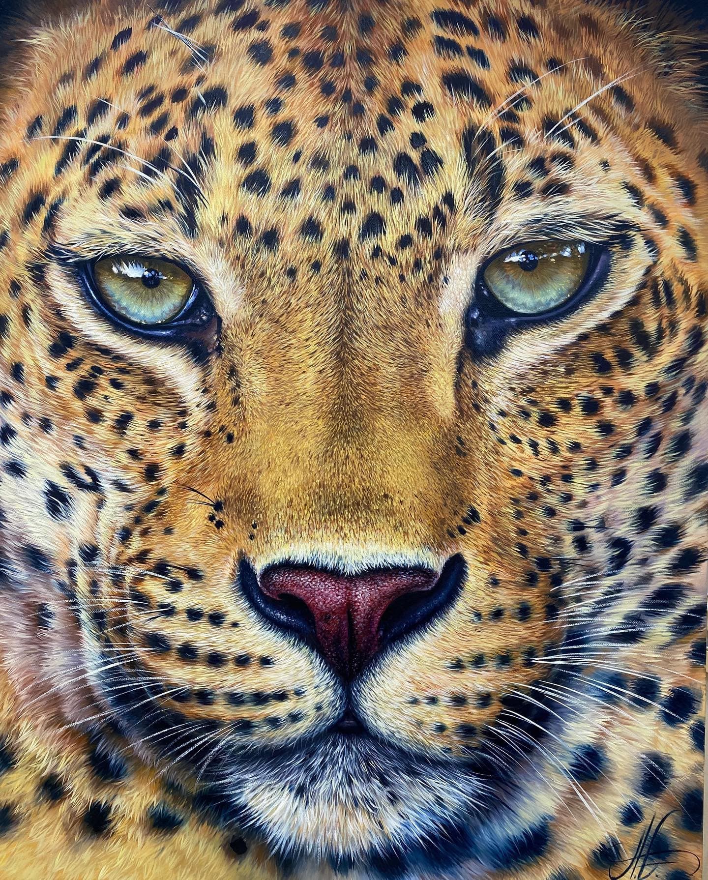 Cunning Leopard Portrait